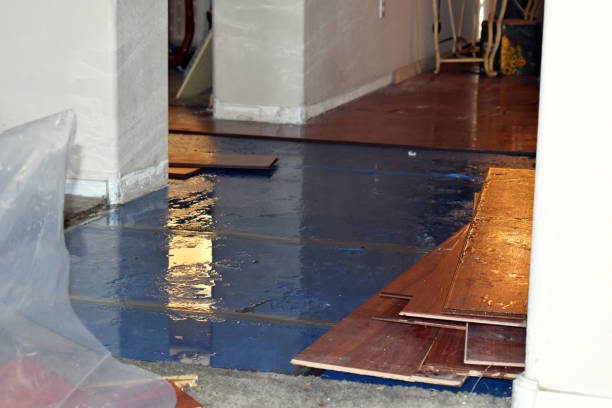 Professional Sewage Cleanup technician working in Six Lakes, MI