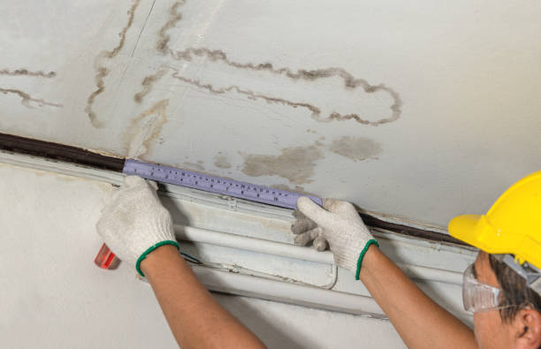 Reliable Sewage Cleanup contractor in Six Lakes, MI by Water Damage Irwin